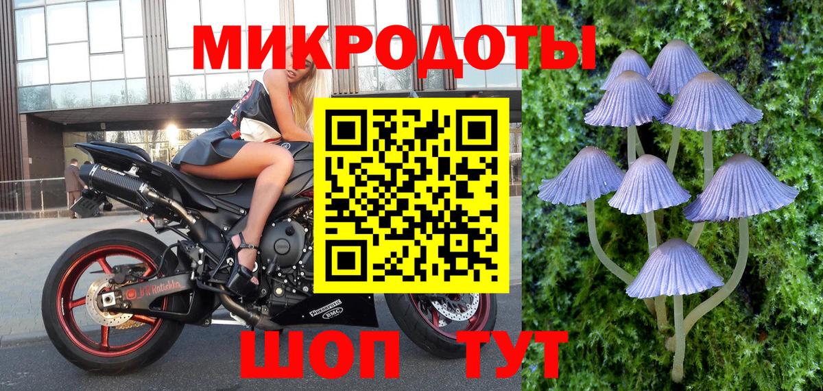 Серов  Галлюциногенные грибы Psilocybine cubensis  Вход с VPN 
